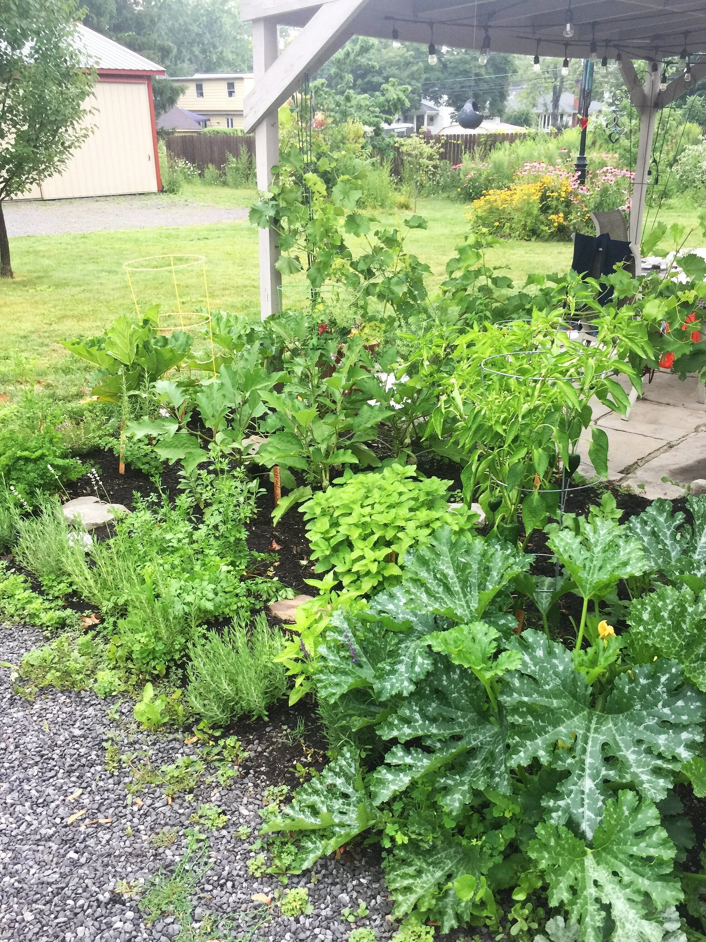 The Ultimate Herb Garden for Zone 6 — Heirloom Soul Florals